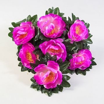 Пион "Аттракцион" 7 цветков от магазина KALINA являющийся официальным дистрибьютором в России 