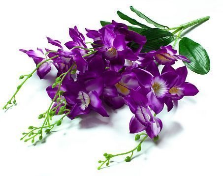 Букет нарцисса 5 веток  20 цветков от магазина KALINA являющийся официальным дистрибьютором в России 