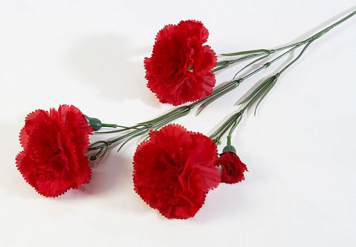 Ветка гвоздики 3 цветка 2 бутона красная от магазина KALINA являющийся официальным дистрибьютором в России 