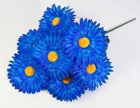 Астра "Фокус Великан" 7 цветков от магазина KALINA являющийся официальным дистрибьютором в России 