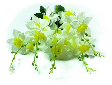 Букет нарцисса 5 веток  20 цветков от магазина KALINA являющийся официальным дистрибьютором в России 