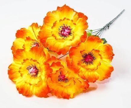 Георгин "Августа" 5 цветков от магазина KALINA являющийся официальным дистрибьютором в России 