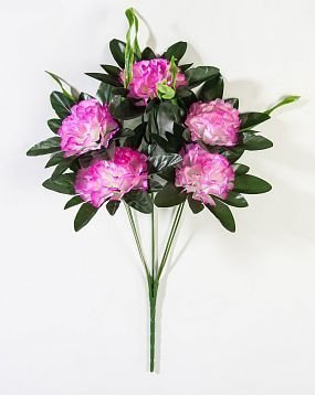 Букет гвоздик "Вихрь" 5 цветков  от магазина KALINA являющийся официальным дистрибьютором в России 