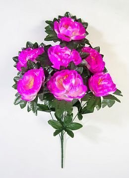 Пион "Аттракцион" 7 цветков от магазина KALINA являющийся официальным дистрибьютором в России 