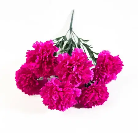 Гвоздика "9 мая" 7 цветков