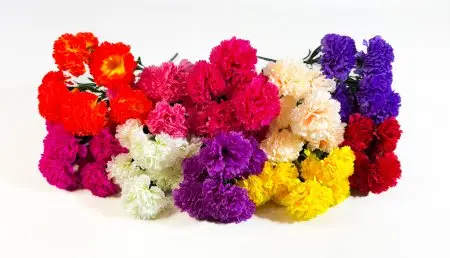 Гвоздика "9 мая" 7 цветков