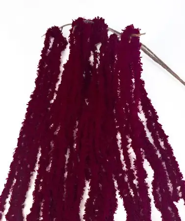 Амарант хвостатый бордовый