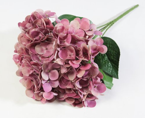 Букет гортензий 5 веток "Жимолость"