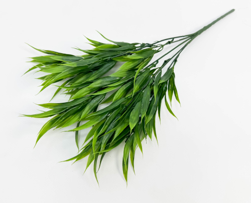 Рускус 5 веток