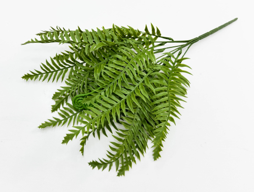 Папоротник "Бостонский" 18 листов