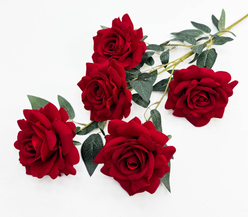 Роза "Овация" 5 цветков