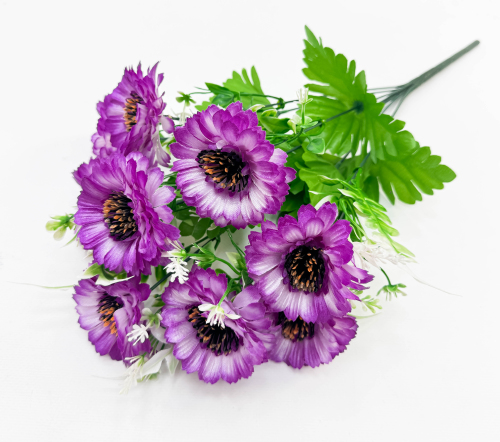 Цинния 9 цветков