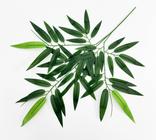 Бамбук лист