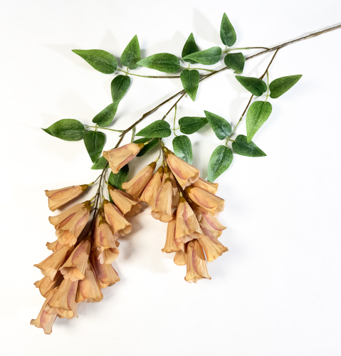 Наперстянка каскадная персиковая