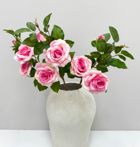 Роза "Радмира" розовая