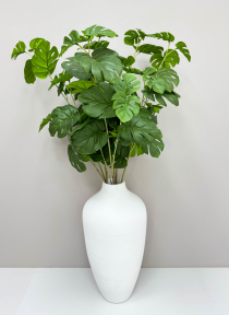 Ветка с листом монстеры