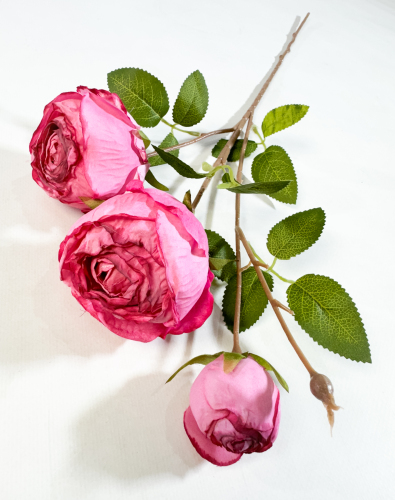 Ветка пионовидной розы "Рояль" розовая