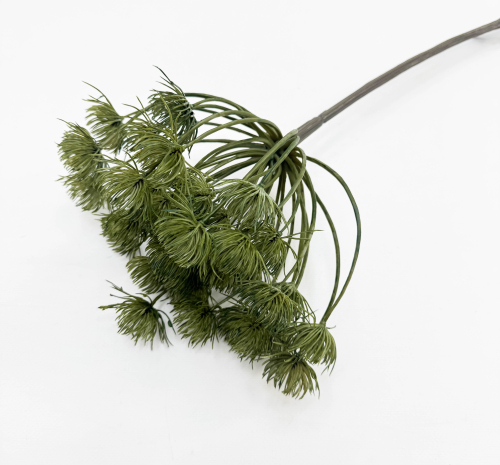 Борщевик болотный