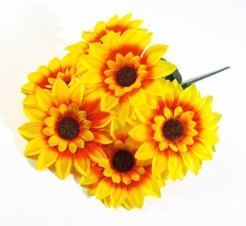 Подсолнух "Землячка" 6 цветков