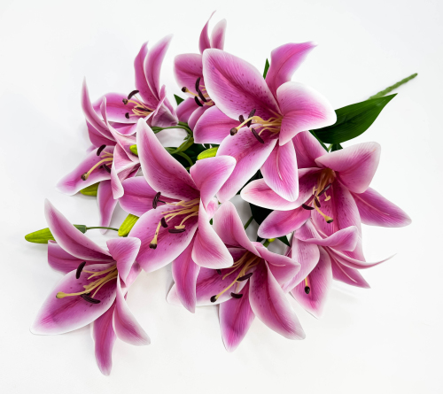 Лилия "Супер гигант" 9 цветков