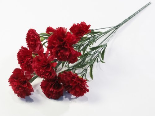 Букет гвоздик "Вечная память"