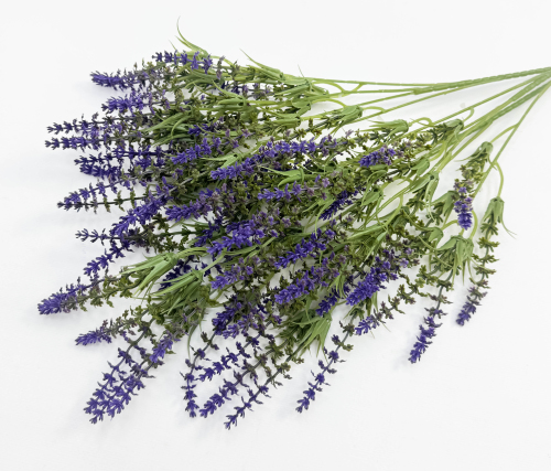 Лаванда Бичвуд Блю высокая