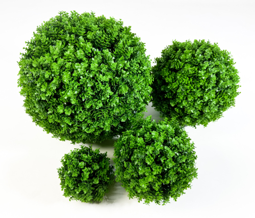 Самшит "Мурава" №28