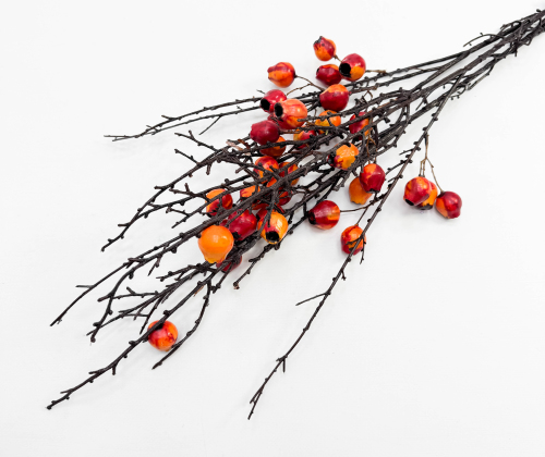 Ветка с красными плодами эвкалипта