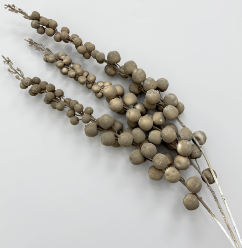 Ветка "Шоколадный бисквит"