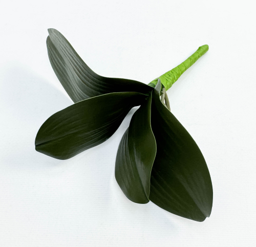 Орхидея 4 листа с корешками