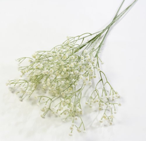 Ветка Гипсофилы