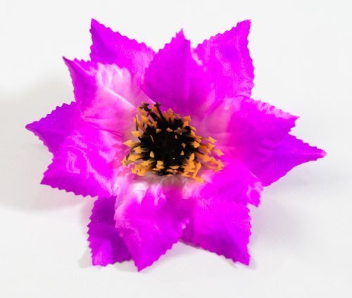 Насадка астры с черной тычинкой