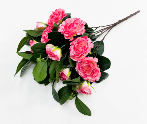 Пион "Слава" 5 цветков 5 бутонов