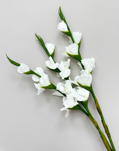 Гладиолус "Цветочный калейдоскоп" белый