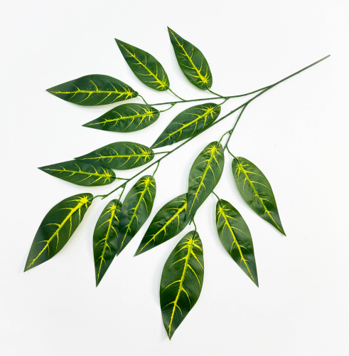 Лист кротона 