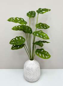 Монстера Обликва Манки Маск 12 листов