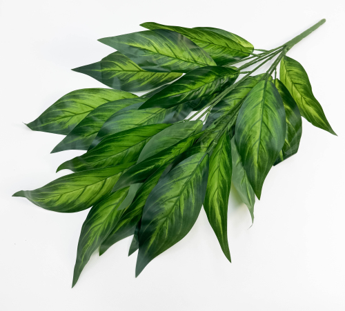 Диффенбахия 7 веток