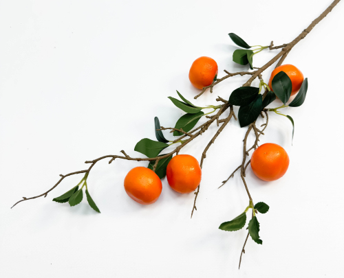 Ветка мандарина 5 плодов
