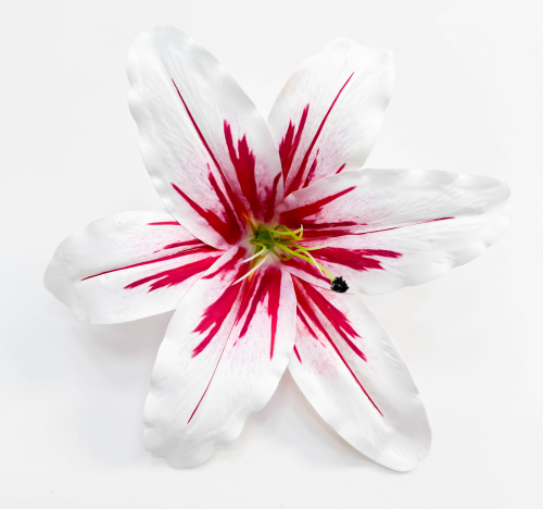 Насадка лилии латекс малиновая