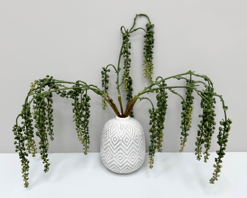 Фитолакка зеленая