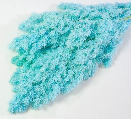 Аспарагус стабилизированный 3