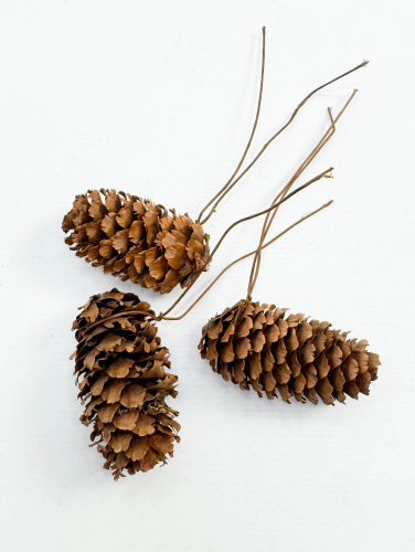 Шишка лиственницы 250 грамм