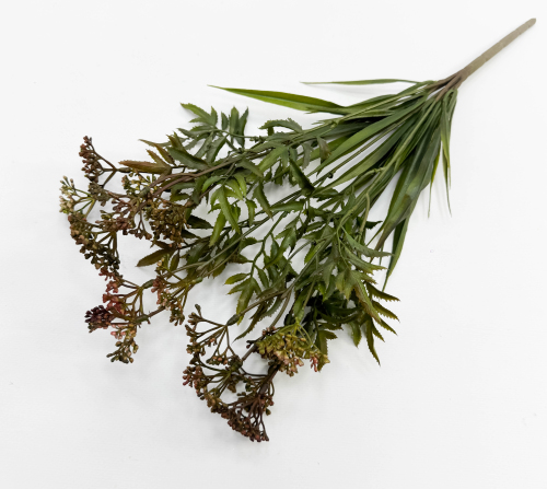 Тысячелистник розово-коричневый