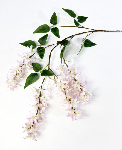 Глициния шелковистая светло-розовая