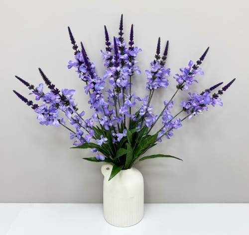 Шалфей 5 соцветий