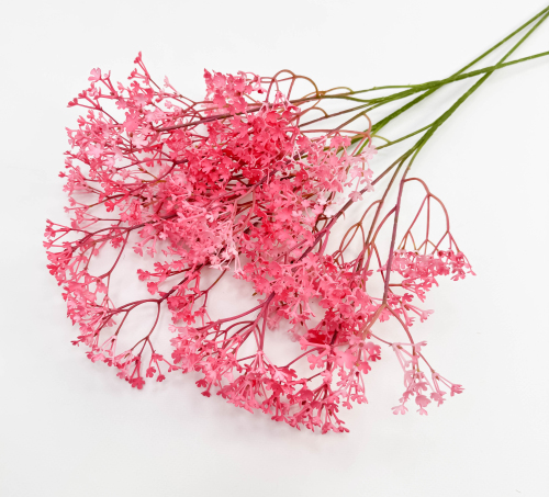 Гипсофила "Изящная" дикий арбуз