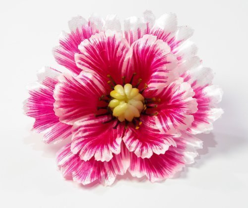 Насадка атлас