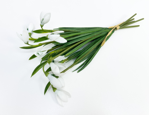 Подснежник