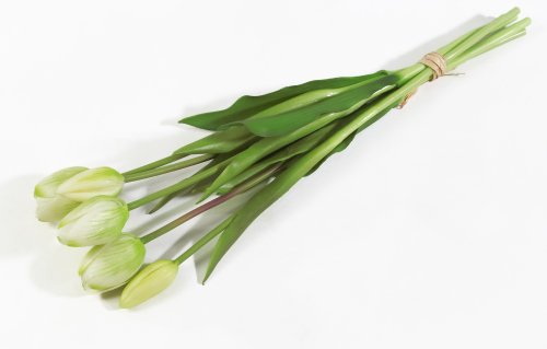 Букет тюльпанов 3+2 белые