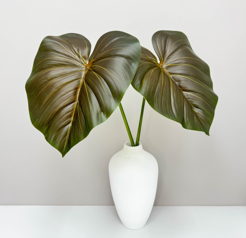 Филодендрон крупный "Поздняя осень"